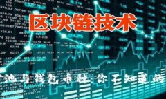 以太坊矿池与钱包币种：
