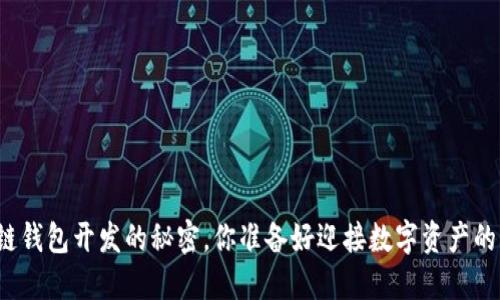 揭秘区块链钱包开发的秘密，你准备好迎接数字资产的未来了吗？