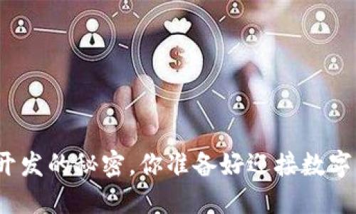 揭秘区块链钱包开发的秘密，你准备好迎接数字资产的未来了吗？