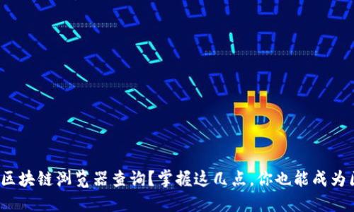 如何高效使用TokenIM区块链浏览器查询？掌握这几点，你也能成为区块链数据达人的诀窍！
