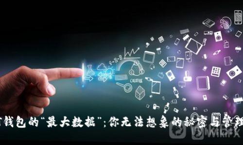 USDT钱包的“最大数据”：你无法想象的秘密与管理技巧