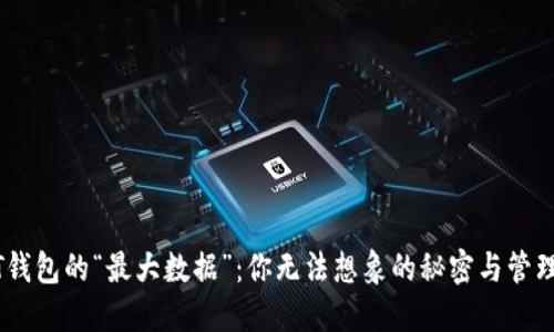 USDT钱包的“最大数据”：你无法想象的秘密与管理技巧