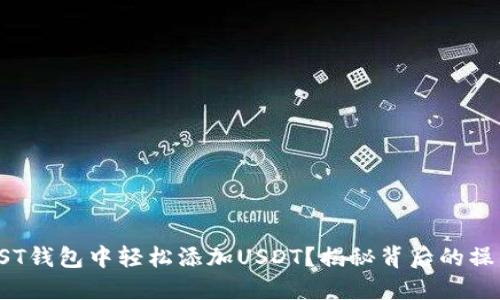 如何在ST钱包中轻松添加USDT？揭秘背后的操作技巧！