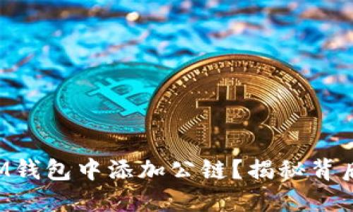如何在IM钱包中添加公链？揭秘背后的秘密！