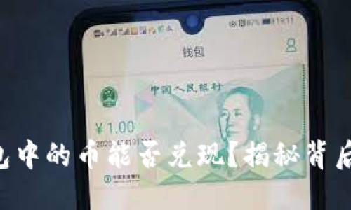 虚拟钱包中的币能否兑现？揭秘背后的秘密！