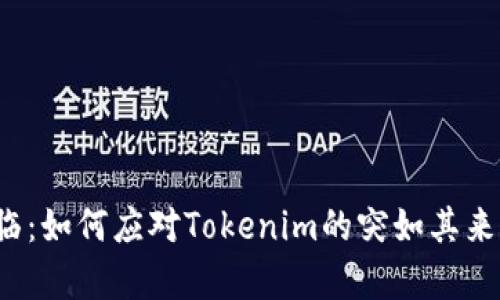 意外财富降临：如何应对Tokenim的突如其来的巨额资产？