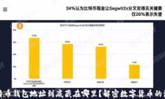 比特币钱包地址到底藏在
