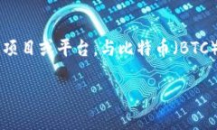 对于 ＂tokenim主地址btc余额