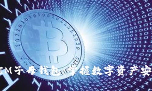 探秘TokenIM子母钱包：掌握数字资产安全的新篇章