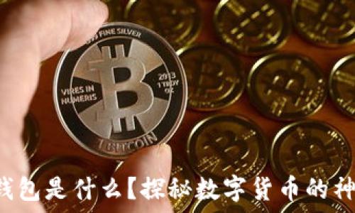   
区块链钱包是什么？探秘数字货币的神秘宝箱！