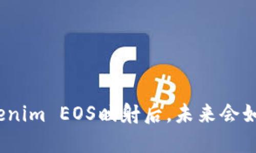 Tokenim EOS映射后，未来会如何？