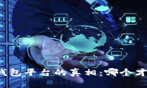 揭开正规区块链钱包平台的真相：哪个才是你的最佳选择？