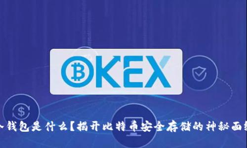 冷钱包是什么？揭开比特币安全存储的神秘面纱
