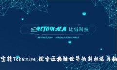 波宝转Tokenim：探索区块链