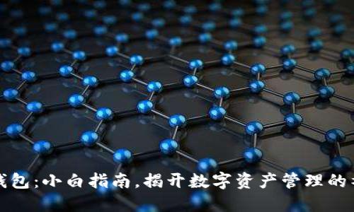 区块链钱包：小白指南，揭开数字资产管理的神秘面纱