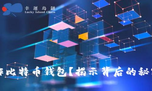 如何制作比特币钱包？揭示背后的秘密与细节