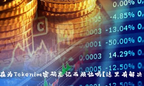 你还在为Tokenim密码忘记而烦恼吗？这里有解决方案！