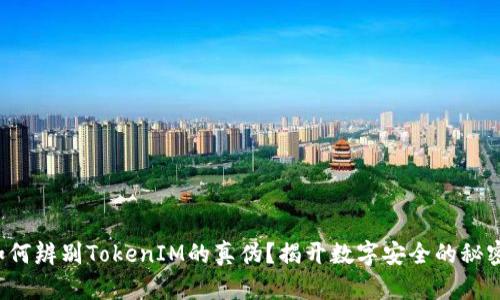 如何辨别TokenIM的真伪？揭开数字安全的秘密！