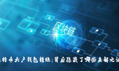 比特币大户钱包转账：背后隐藏了哪些未解之谜？