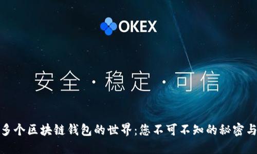 探索多个区块链钱包的世界：您不可不知的秘密与选择