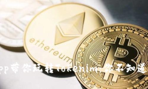 一个App带你玩转Tokenim：你不知道的秘密