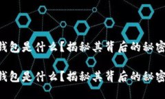 区块链钱包是什么？揭秘