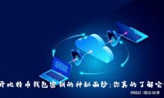 揭开比特币钱包密钥的神