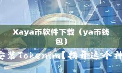 如何轻松下载安装Tokenim？揭开这个神秘应用的秘密！