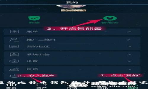 探索国内最受欢迎的比特币钱包软件，哪款才能完美匹配你的需求？
