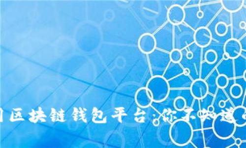 揭秘国内常用区块链钱包平台：你不知道的选择与风险