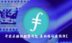 开发区块链数字钱包：是