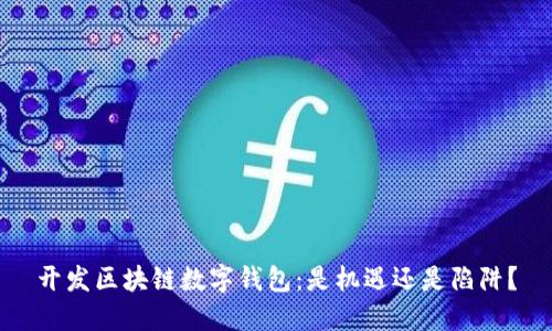 开发区块链数字钱包：是机遇还是陷阱？