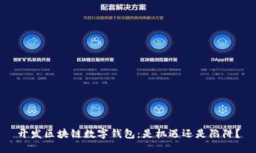 开发区块链数字钱包：是机遇还是陷阱？
