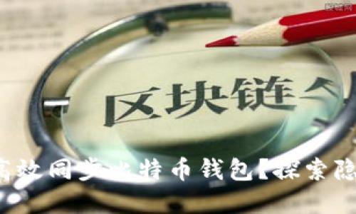 如何快速高效同步比特币钱包？探索隐藏的秘密！