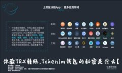 体验TRX转账，Tokenim钱包的