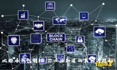 比特币钱包转账：你必须知道的真相与隐秘！