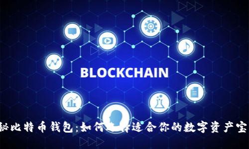 揭秘比特币钱包：如何选择适合你的数字资产宝藏？