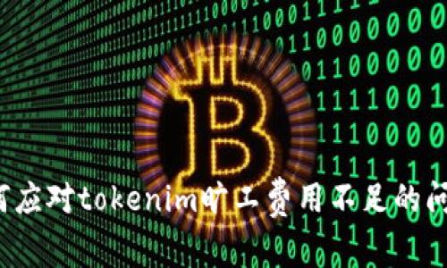如何应对tokenim旷工费用不足的问题？