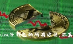 找回Tokenim子钱包的所有方