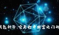 比特币钱包种子：它是打