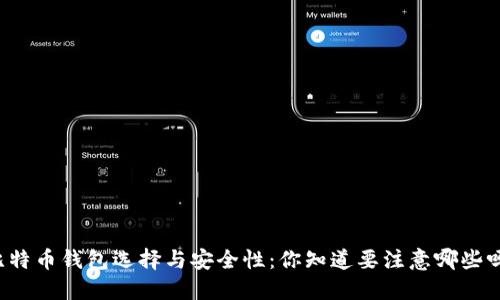 比特币钱包选择与安全性：你知道要注意哪些吗？