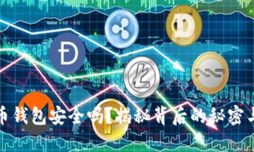 你的比特币钱包安全吗？揭秘背后的秘密与保护技巧