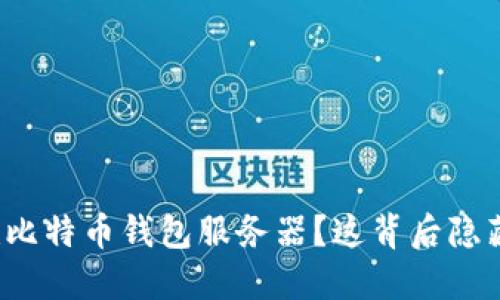如何自行搭建比特币钱包服务器？这背后隐藏了什么秘密？