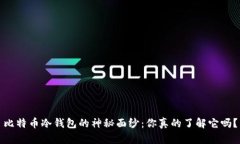 比特币冷钱包的神秘面纱