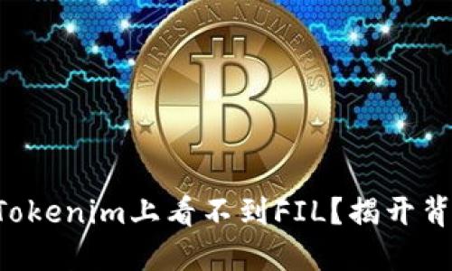 为何你在Tokenim上看不到FIL？揭开背后的秘密！