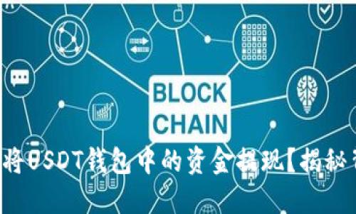 如何安全快捷地将USDT钱包中的资金提现？揭秘背后的操作流程！