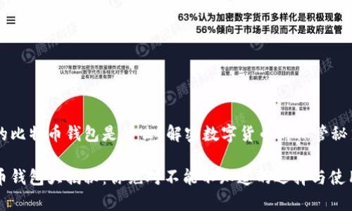 常用的比特币钱包是什么？解密数字货币的保管秘笈

比特币钱包大揭秘：你绝对不能不知道的选择与使用技巧