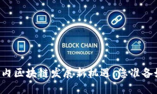 Tokenim：国内区块链发展新机遇，您准备好迎接了吗？