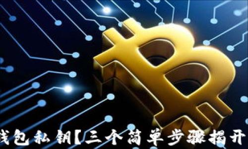 
如何找回Tokenim钱包私钥？三个简单步骤揭开你的数字资产之谜！