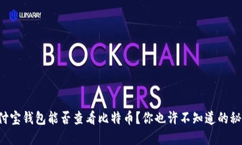 支付宝钱包能否查看比特币？你也许不知道的秘密！